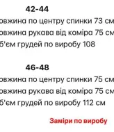 Спортивный костюм с лампасами STB-38A800