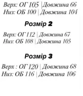 Спортивный костюм летний женский EFR-166A420