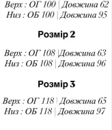 Спортивный костюм женский велюровый  EFR-195A450