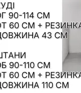 Велюровый костюм женский спортивный  ELZ-705A600