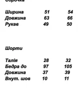 Костюм рубашка и шорты SAO-149A599